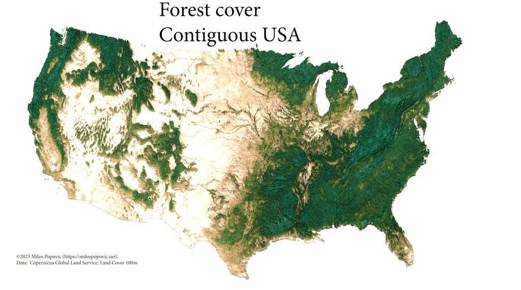 forrest cover map usa data visualization milos